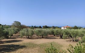 Spitaki